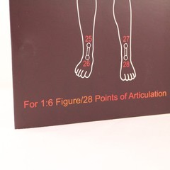 Jiaou Doll Seamless Male Action Figure Body Open Box 1:6 Scale Flexible Movable