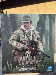 DID WWI German Wehrmacht Steiner D80188 1/6 ACT FIGURE TOYS