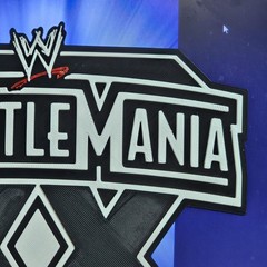 WWE Mattel WrestleMania XX 20 2004 8 X 7.5 Inch Logo Accessory