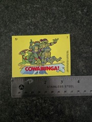 Teenage Mutant Ninja Turtles 11 Sticker Lot, 5 Sticker Card, 4 Mirage Stickers
