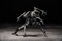 PSL SEXYiCE Vermin: Artificial Evolution B006 Ant 1/12 from JAPAN PRE ORDER