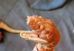 Big Jurassic World Toy Dino Lot Indominus T- Rex Mosasaurus Raptors Triceratops