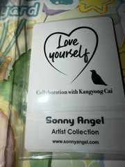 Sonny Angel Authentic Artist Collection Collaboration with Kangyong Cai