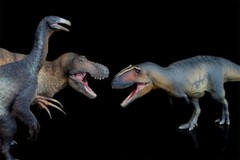 PNSO 1/35 Giganotosaurus 17 Model Prehistoric Dinosaur Animal Figure Gift Toys