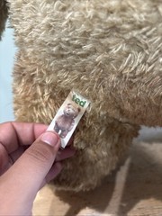 Ted Movie talking 24 in Plush 2012 Movie Explicit Talking Works *Read*