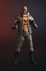 The New 52 DC Multiverse Bronze Tiger Action Figure ***IN-HAND***