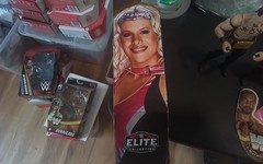 WWE Mattel Legends series #16 molly Holly w/chase the APA & Rey Mysterio