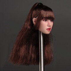 SDH041A 1/6 Head Sculpt Asia South Korea Singer Fit 12” Female Suntan Figure