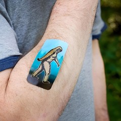 Extra Large Bigfoot Bandages in Metal Tin Box