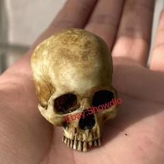1/6 Scale Human Beings Skeleton Resin Model for 12″ Action Figure Accessory Toys