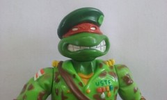 TMNT RAPH THE TEEN GREEN BERET Teenage mutant Ninja Turtles with 2  Accessories