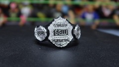 GCW Game Changer Wrestling Figure Championship Belt