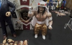WWE Mattel Ringside From the vault series #2,Defining Moments Paul Heyman Sabu