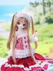 Unveiled Door Syncy Land Mari Ootd 22.5cm/8.8In Bjd Dressable Action Figure Gift