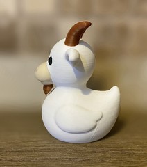 Goat Duck