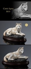 Wild Canine Animals Figure Bandai Creature Encyclopedia Display Model Collection