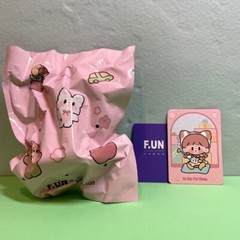 F.UN x Molinta zZoton Mall Series In The Pet Shop mini toy kitty cat play sweet