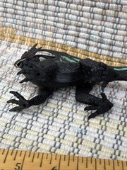 Kid Galaxy Poseable Dragon Action Figures Black & Teal Dragon Fantasy Toy