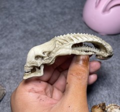 Alien Predator Skull Kit Neca Predator Loot Accessories Model Toy