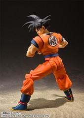 Bandai S.H.Figuarts Son Goku The Saiyan Grew Up on Earth Dragon Ball Z Super SHF