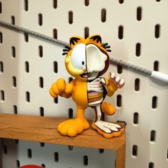 Mighty Jaxx GARFIELD Skeleton 3.5″ Figure Jason Freeny’s Hidden Dissectibles