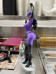 Catwoman Knight Fall