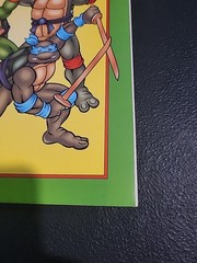 Vintage 1990 Meet The TEENAGE MUTANT NINJA TURTLES Coloring Book With Poster