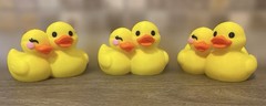 Couples Duck Boyfriend Girlfriend – Jeep Ducking Gift – Cruises – Collectible