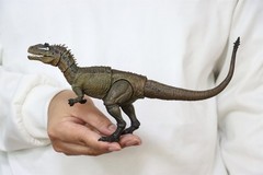 Nanmu Studio Smart Series Allosaurus Action Figure Dinosaur Animal Model Decor