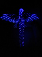 3D Printed 1 Pack Phoenix Animals 14.5” Purple Luminous Articulated Toy Gift