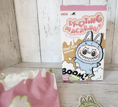 EMPTY BOX LaBuBu “Exciting Macaron” Bag Card