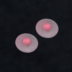 US 1/6 Female breast patch 1 pair Fit 12″ TB JIAO Seamless Figure Body Model Toy