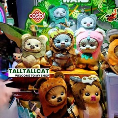 Clear Plastic Case Protector for Hot Toys Star Wars Ewoks Plush Doll Keychain