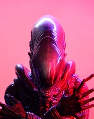 Hot Toys MMS784 Scorched Xenomorph Alien Romulus