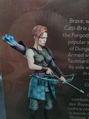 Gamestop Exclusive Dungeons & Dragons Modern Icons Catti-Brie Statue New #13