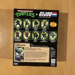 Teenage Mutant Ninja Turtles X GI Joe Mashup Slash/Stormshadow Action Figure NEW