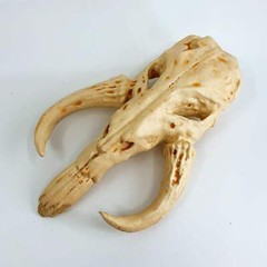 The Mandalorian | Mythosaur Skull | Star Wars | 3 Colors Available