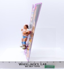 Tatanka Series 9 WWF Wrestling 1993 Hasbro Action Figure NEW MOSC SEALED