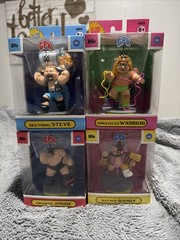 WWE X Garbage Pail Kids Figures Complete Set Andre Stone Cold Warrior Savage