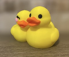 Couples Duck Boyfriend Girlfriend – Jeep Ducking Gift – Cruises – Collectible