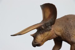 PNSO 1/35 New Version Triceratops Model Adult Children Toys Gift Dinosaur Figure