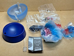 Bandai Capsule Toy Creature Encyclopedia Advance　Betta (Full Moon Blue & Red)