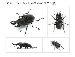 Bandai Capsule Toy Creature Encyclopedia Kuwagata/Stag Beetle 03 Full Set of 5!
