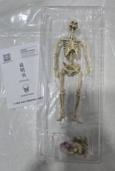 101TOYS NO.ES002 Palm Elf Series Skeleton Body 1/12 Action Figure Collectible