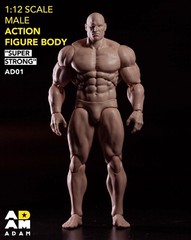 US MUFF TOYS ADAM 1/12 Comic Joint Flexible 6″Male Action Figure Doll Body&Head