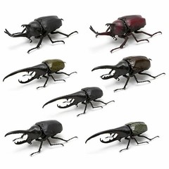 Creatures Encyclopedia Beetle Mini Figure Collection One Random Design