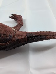 Mattel Jurassic World Carnotaurus Action Attack Dinosaur Toy Figure Chomping