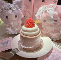 Authentic Miniso Sanrio Rose Garden Series Confirmed Blind Box Vinyl Plush Toys!