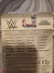 New In Package! Complete Set Of 24! WWE Nano Metalfigs Die-Cast.