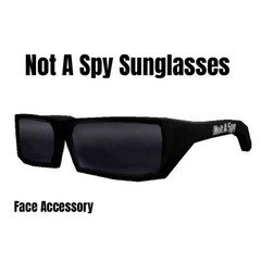 Roblox | Not A Spy Sunglasses virtual item | Code Only | Fast Shipping